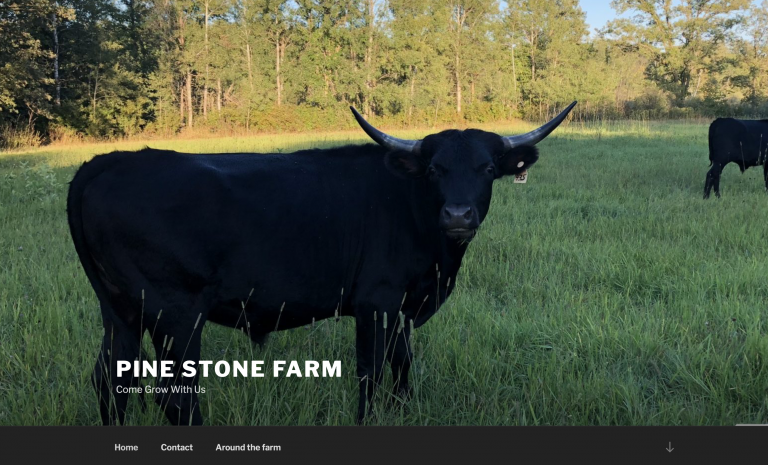 Pine Stone Farm